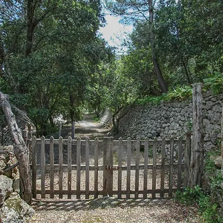 Pollenca - 35056 Mallorca *